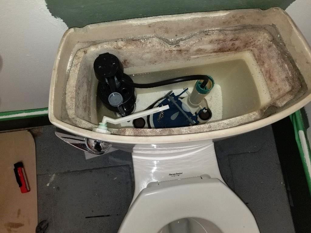 How To Fix A Toilet That Keeps Running Continuously DIY   334682713 2789662541176569 8843847059444611973 N 